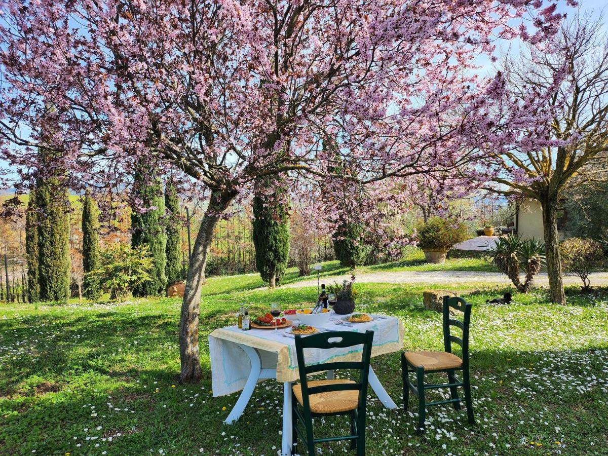 Agriturismo Lucertola Montecatini Val di Cecina Εξωτερικό φωτογραφία